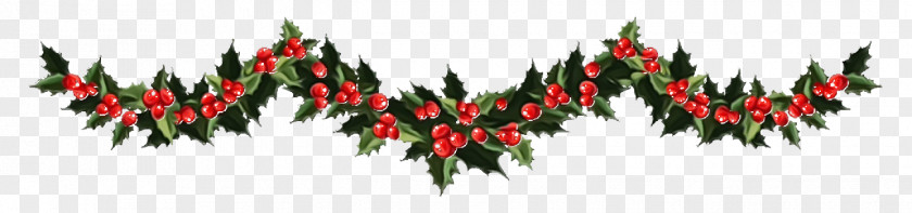 Pine Family Fir Christmas Decoration PNG