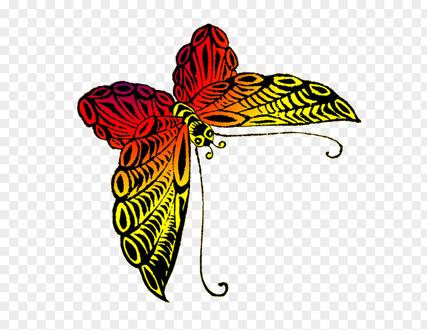 Red Butterfly Insect Drawing Black Swallowtail Clip Art PNG