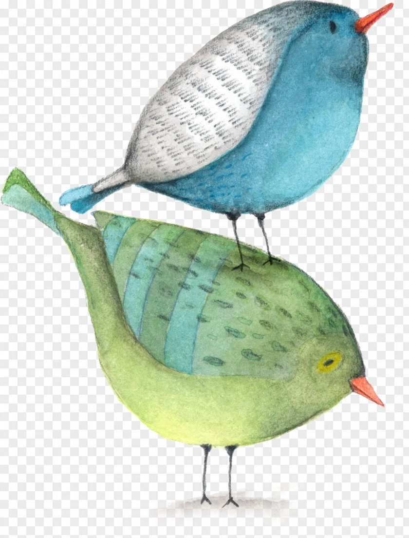 Birds Collection Lovebird Parrot Clip Art PNG