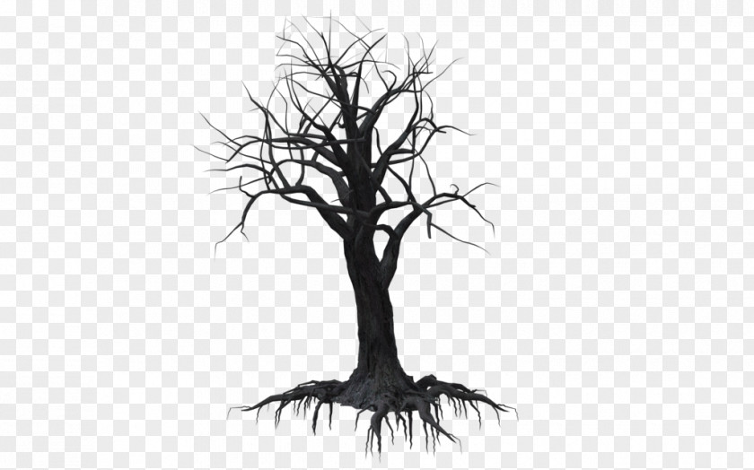 Creepy Tree Drawing Woody Plant Branch Clip Art PNG