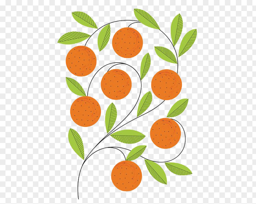 Orange Pattern Fruit Graphic Design Art Illustrator Illustration PNG