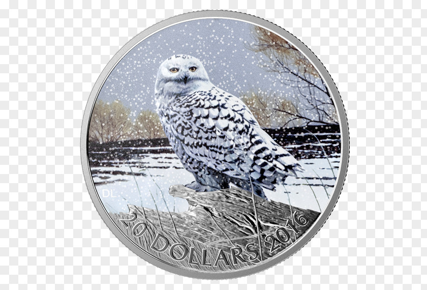 Owl Snowy Canada Coin Silver PNG