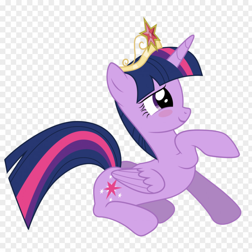 Princess Twilight Sparkle My Little Pony Flash Sentry Winged Unicorn PNG