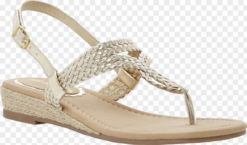 Sandal Slide Shoe Beige Walking PNG