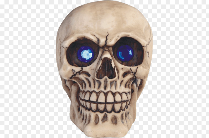 Skull Skeleton Sculpture Statue Human Head PNG