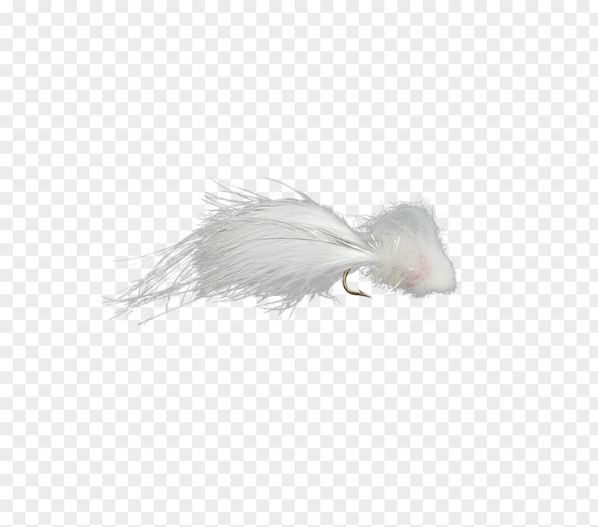 Feather Whiskers Fur Snout Tail PNG