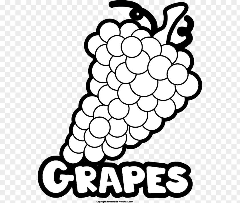 Grape Common Vine Clip Art White Wine PNG