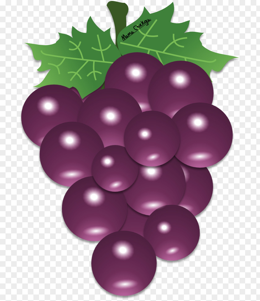 Grape Zante Currant Seedless Fruit Auglis Clip Art PNG