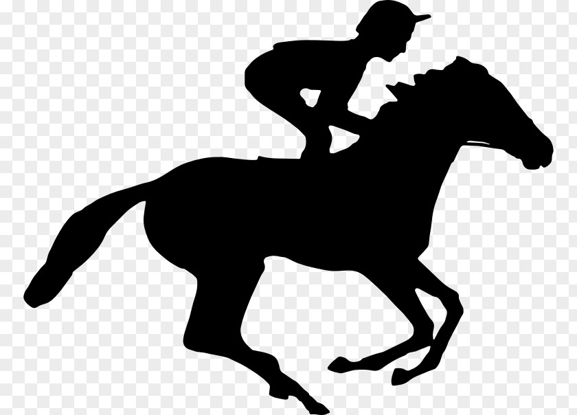 Horse Riding Racing Equestrian Jockey Standing PNG