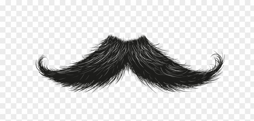 Moustache Goatee Beard Hairstyle PNG