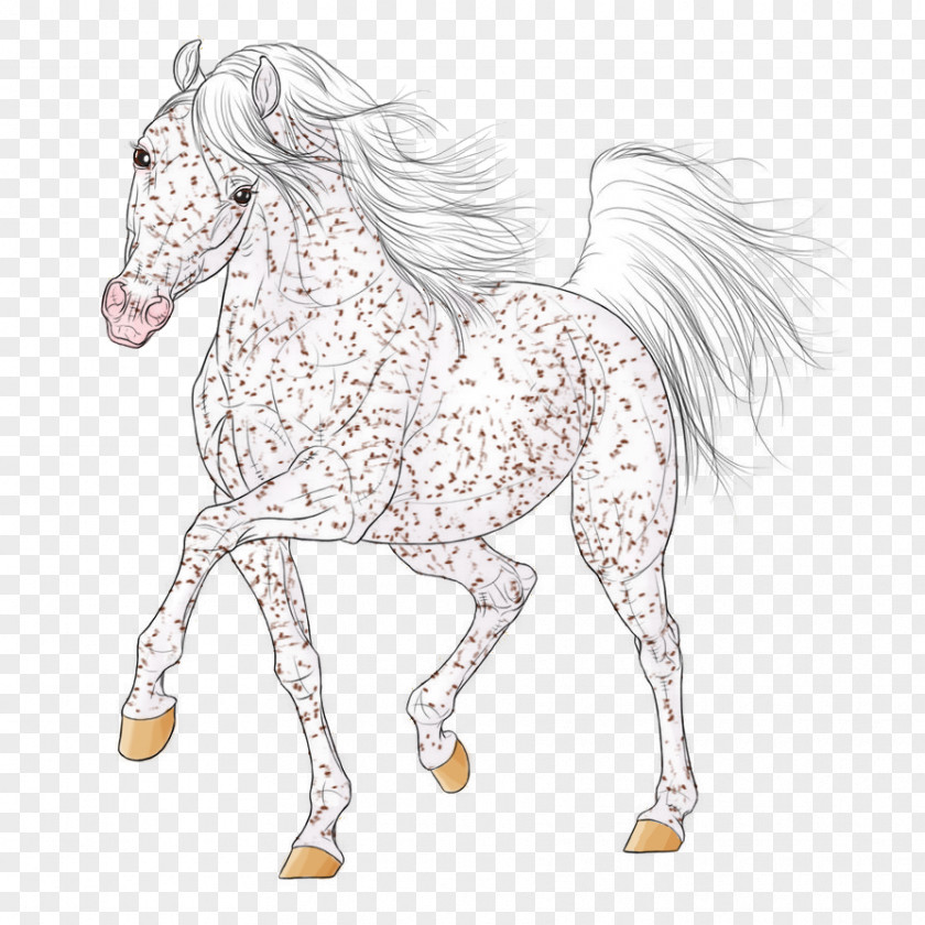 Mustang Mane Stallion Colt Bridle PNG