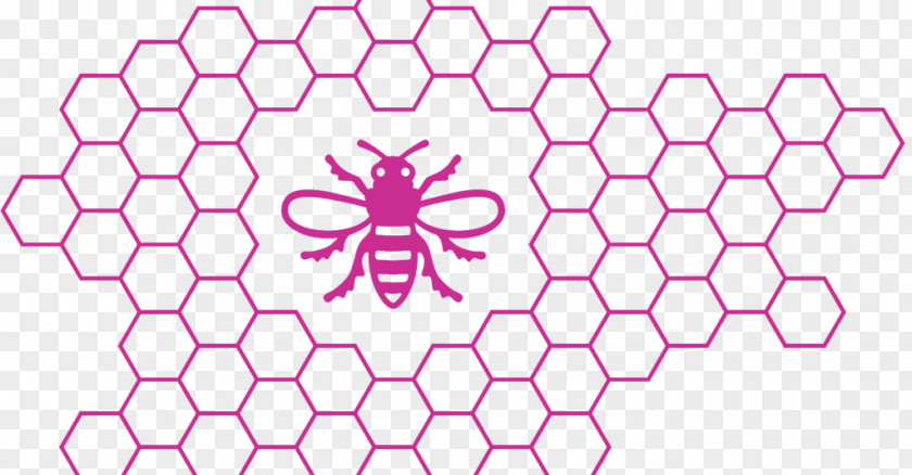 Carpet University Of Manchester Enterprise Centre Alliance Business School Acupressure Mat PNG