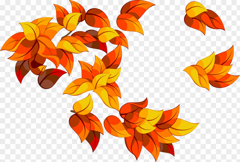 Cut Flowers Flower Orange PNG