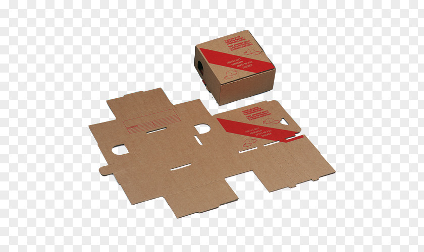 Design Angle Carton PNG