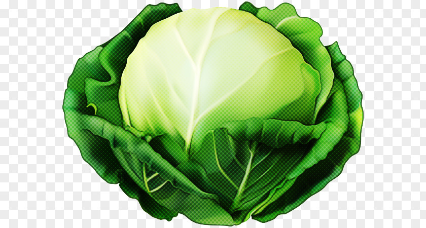 Leaf Vegetable Food Green Cabbage Wild PNG