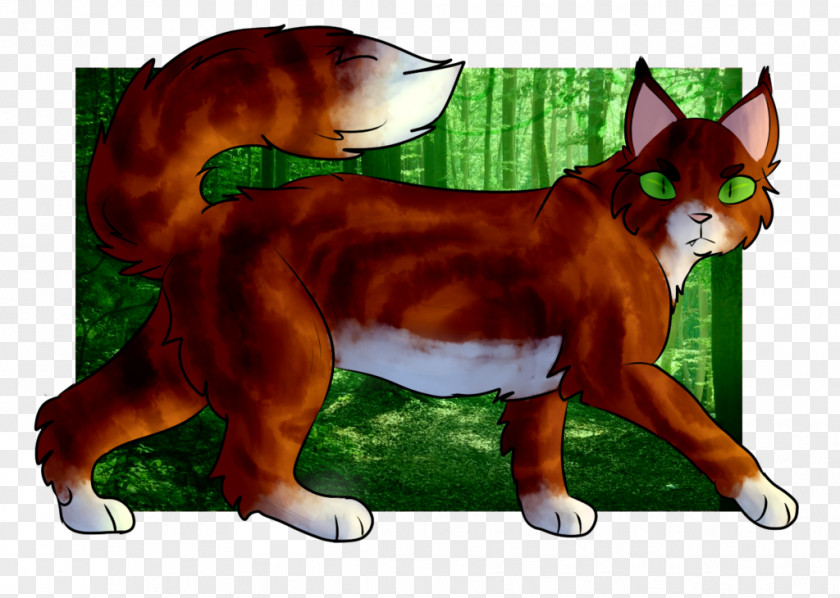 Cat Red Fox Dog Canidae Mammal PNG
