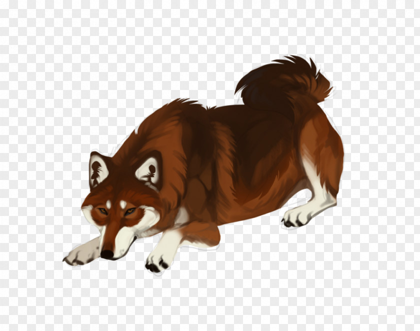 Dog DeviantArt Red Fox Dhole PNG
