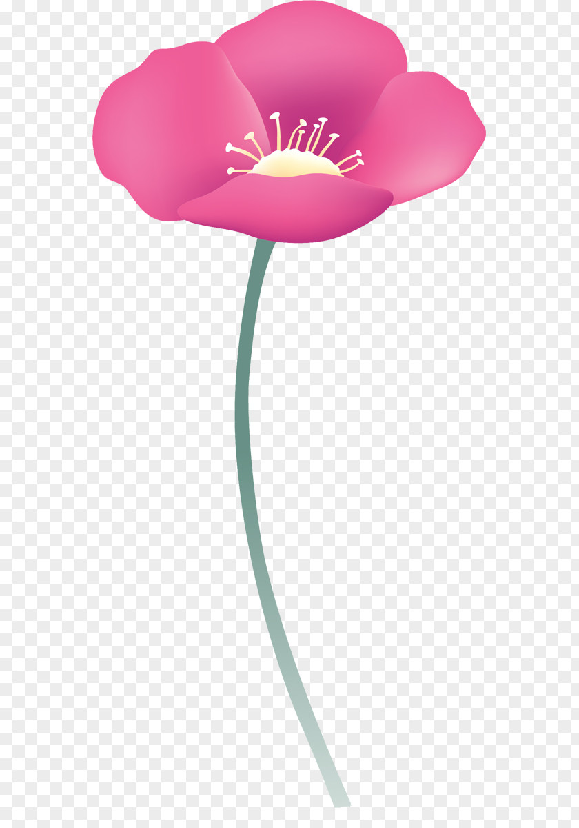 Flower Petal Blume PNG