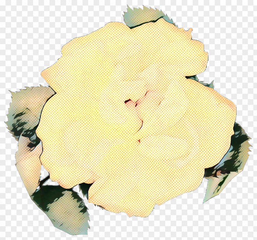 Hydrangea Plant Yellow Flower PNG