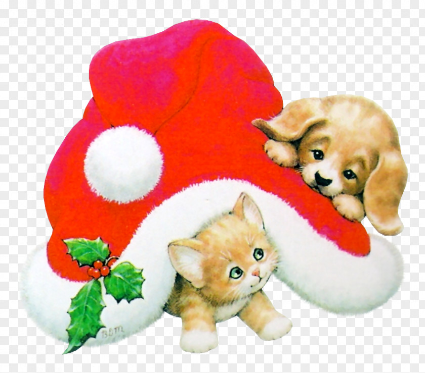 Kitten Christmas Cat Dog PNG