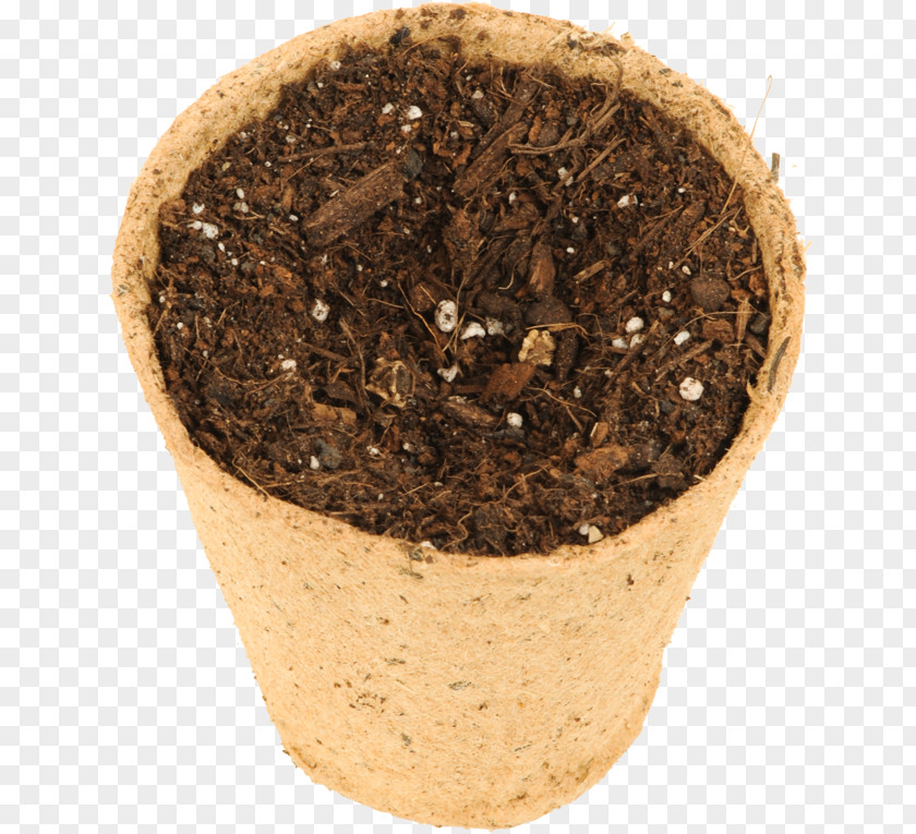 Mangold Soil Flowerpot PNG