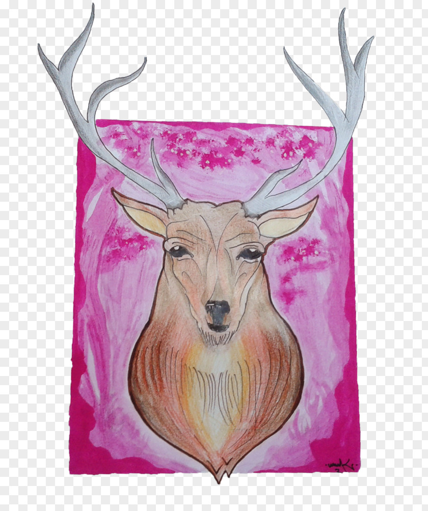 Deer Watercolor Reindeer Elk Art Antler PNG