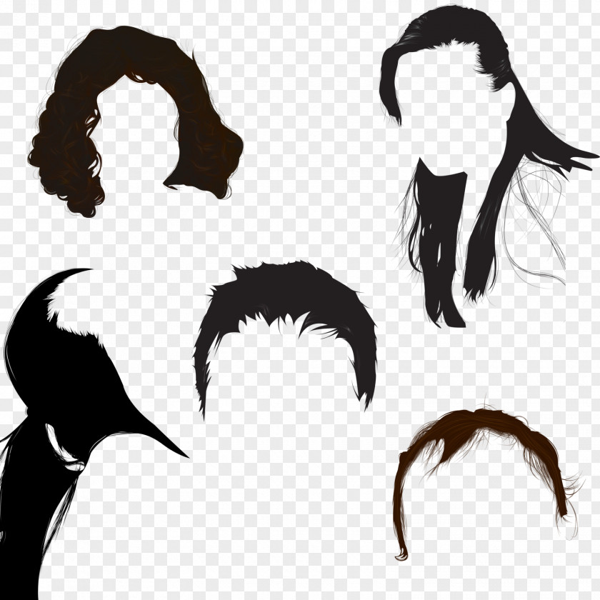 Hair Hairstyle PNG