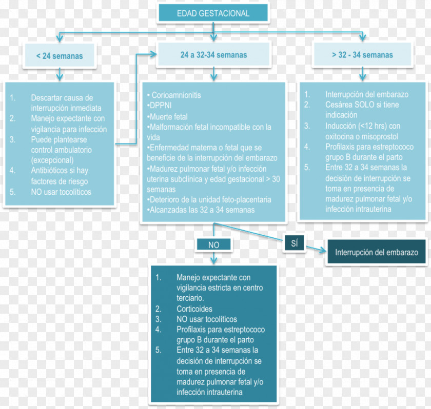 Map Concept Obstructed Labour Childbirth Uterine Rupture PNG