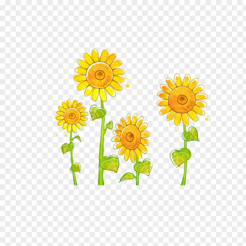 Sunflower Common Doll Drawing Illustration PNG