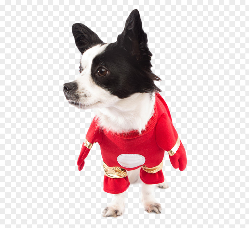American Water Dog Breed Chihuahua Iron Man Puppy Costume PNG