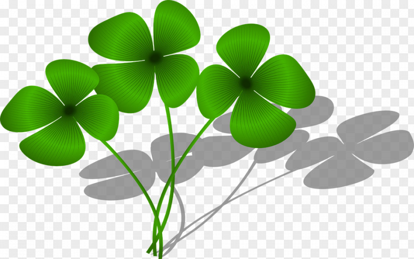 Cartoon Clover Collection Good Luck Charm Four-leaf PNG