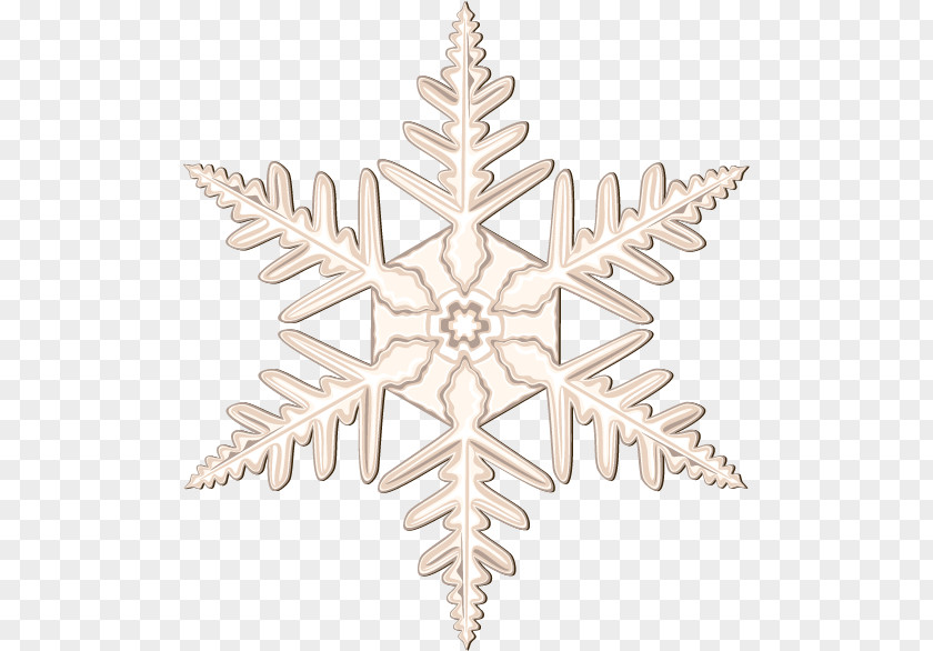 Christmas Vector Snow Petals Snowflake Euclidean PNG