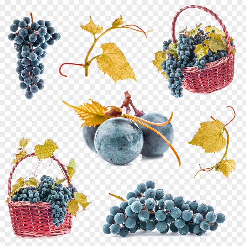 Purple Grape Fruit Decoration Pattern Common Vine Leaves PNG