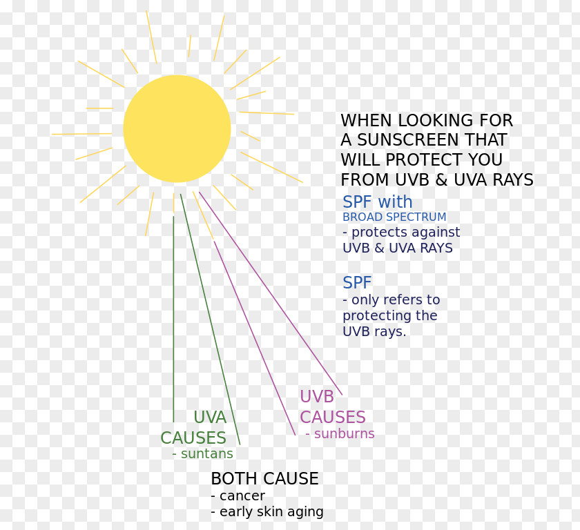 Ray Sunlight Sunscreen Diagram PNG