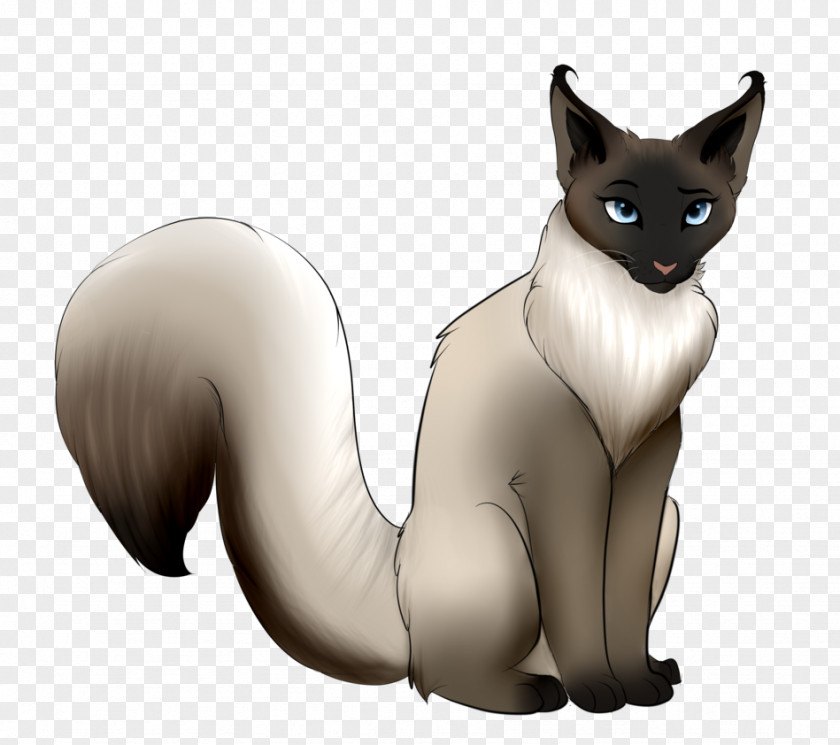 Siamese Cat Balinese Whiskers Kitten Domestic Short-haired PNG