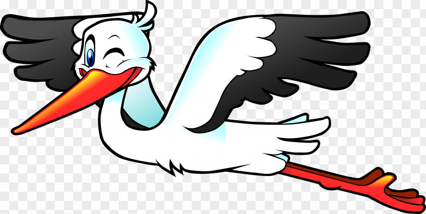 Stork White Bird Animation Clip Art PNG