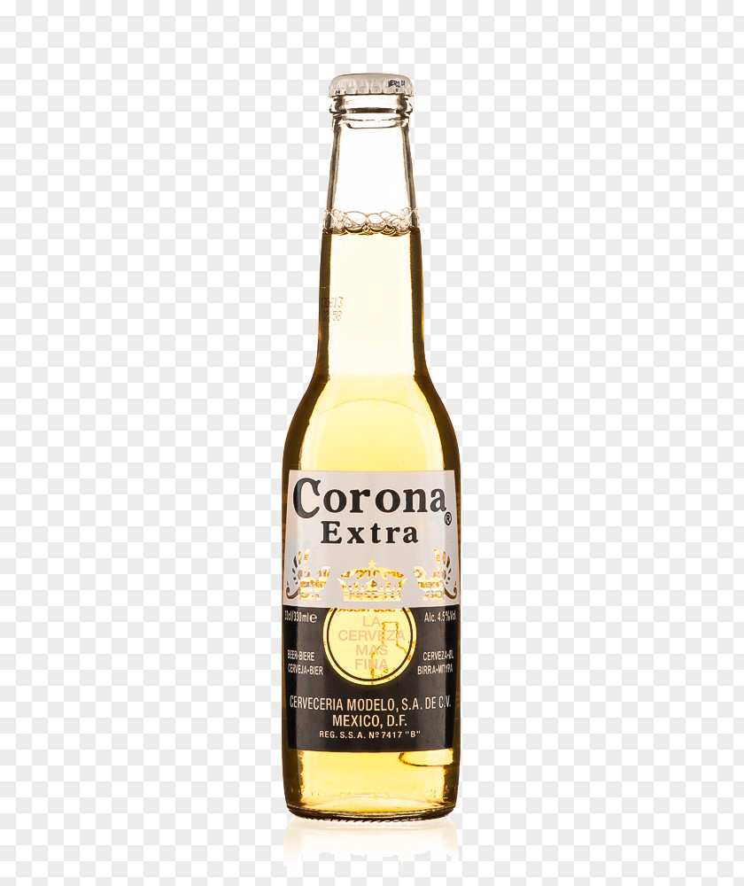 Beer Corona Pale Lager Grupo Modelo PNG