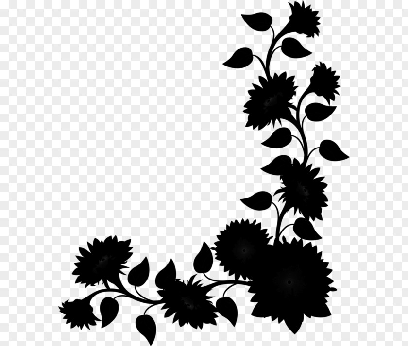 Chrysanthemum Floral Design Pattern Leaf PNG