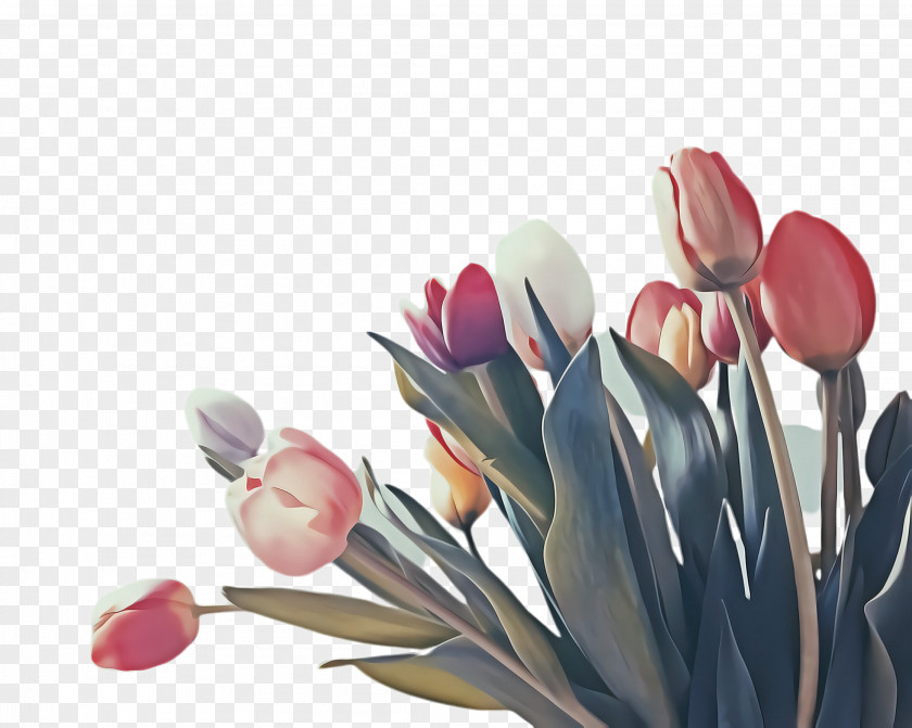 Crocus Artificial Flower Flowers Background PNG