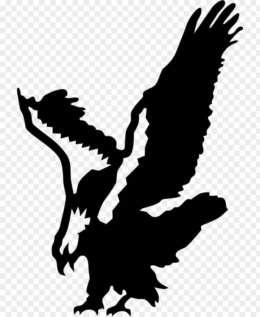 Eagle Bald Decal Hawk Art PNG