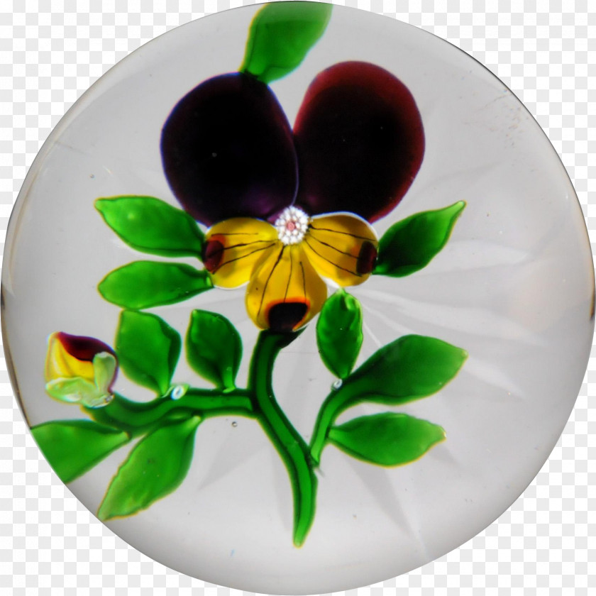 Pansy PNG