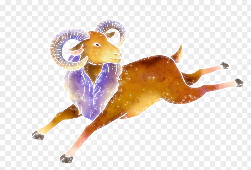 Sheep Aries Constellation PNG