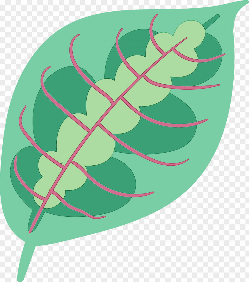 Leaf Green Font Pattern Biology PNG