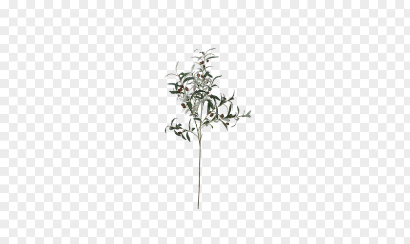 Olive Foliage Vase Art NetEase Service PNG