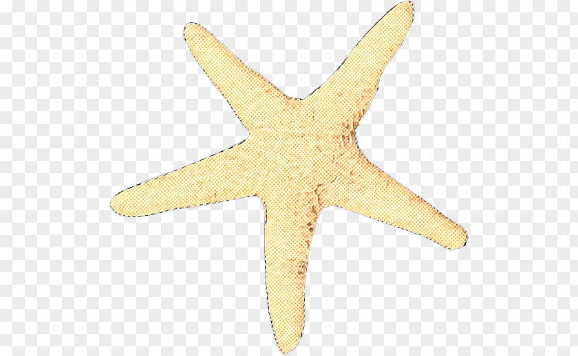 Star Marine Invertebrates Starfish PNG