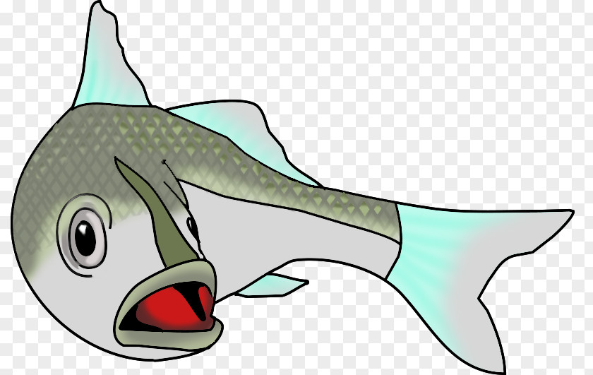 Aquarium Fish Saltwater Drawing Clip Art PNG