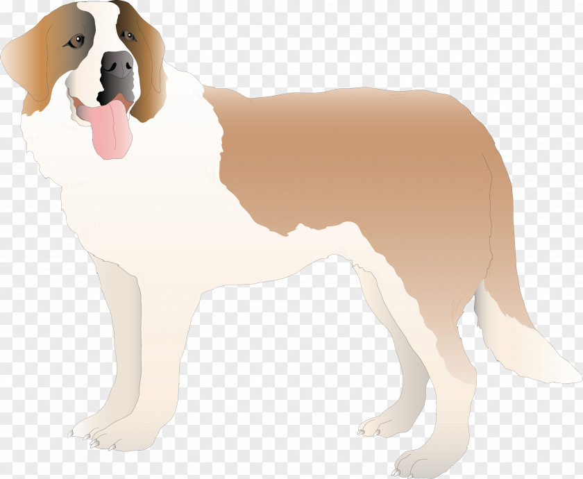 Dog Breed Group (dog) Puppy Non-sporting PNG