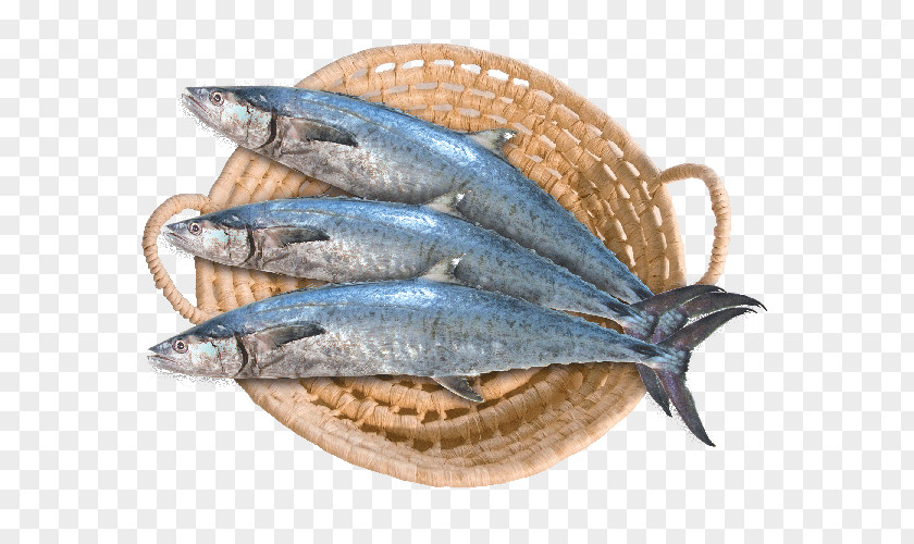 Fish Saudi Arabia Narrow-barred Spanish Mackerel SFC Food PNG