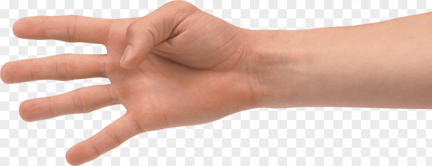 Hands Hand Image Thumb Model Nail PNG