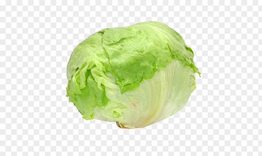 Lettuce Juice Red Cabbage Leaf Vegetable PNG